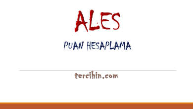 ales puan hesaplama