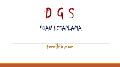 dgs puan hesaplama 2024