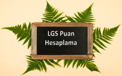 LGS Puan ve Yüzdelik Dilim Hesaplama