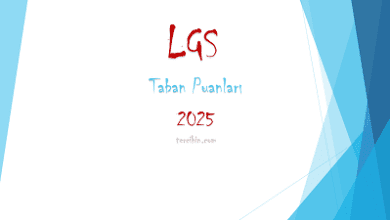 lise taban puanları 2025