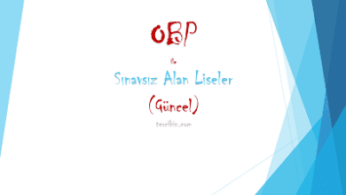 Sınavsız OBP Puanı ile alan liseler 2024-2025